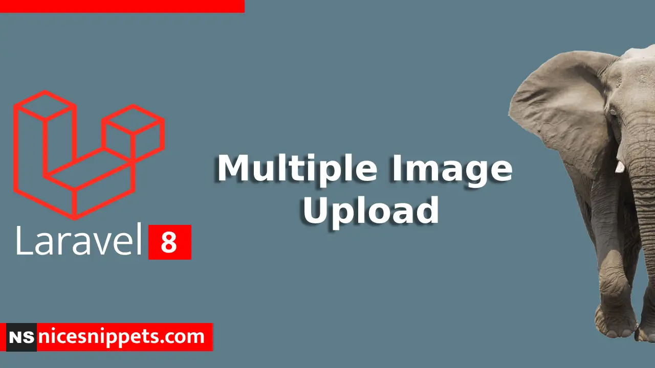 Laravel 8 Multiple Image Upload Example